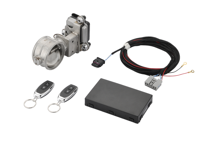 Electronic Valve BMW Motor System